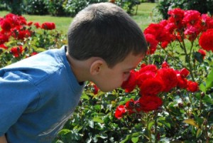 jonny-smelling-roses