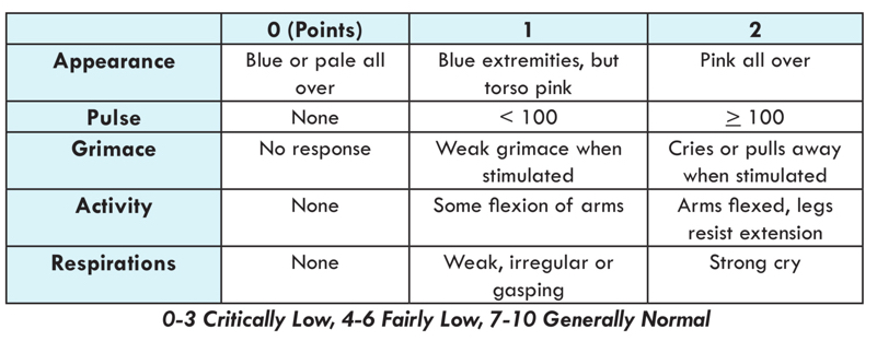 apgar score 3